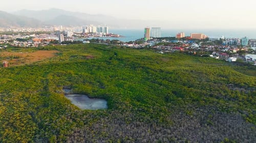 Zumbido que gira sobre el estuario de El Salado al atardecer en Puerto Vallarta, México