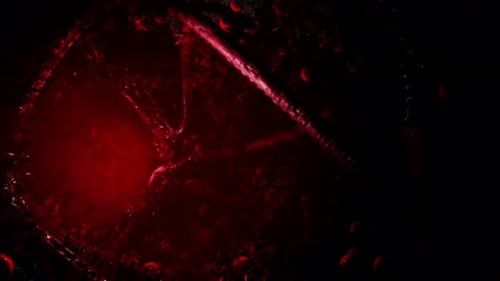 Horror vudú con tentáculos rojos