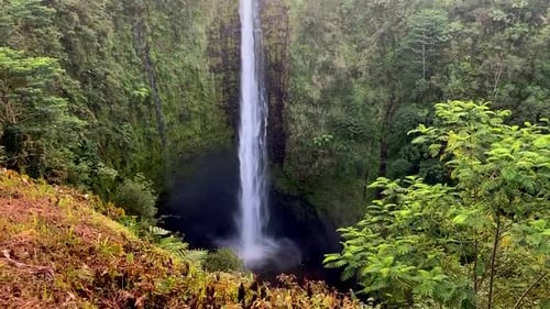 Cataratas de Akaka en Hilo (Isla Grande de Hawái). Una hermosa cascada en un exuberante bosque tropical verde como telón de fondo