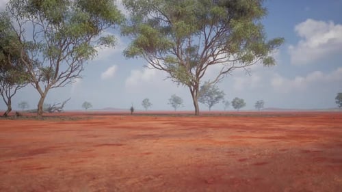Red Earth and Sparse Trees in a Vast African Savanna Under Bright Sky
