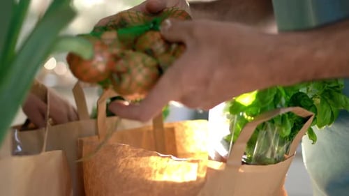 Two Men Unpacking Groceries in Sunny Kitchen