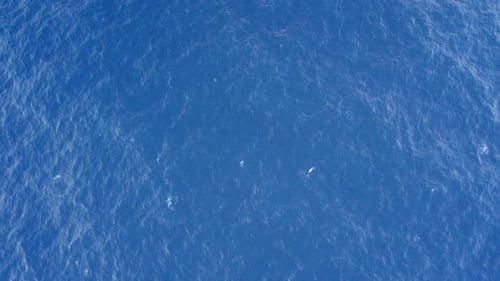 Waves, created by wind, propagate across surface, form intricate patterns