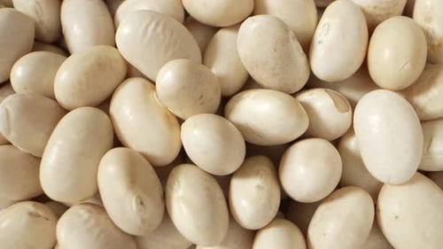 White Beans Close-Up Food Ingredients