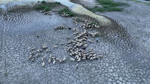 Climate Change and Ecology