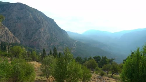 Panoramic View of Mountains and Olive Grooves near the Ancient City of Delphi