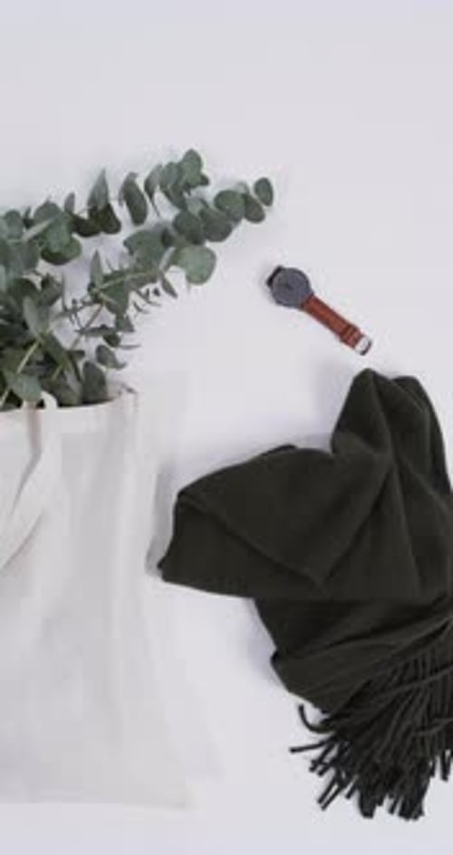 Vídeo vertical de bolsa de lona blanca con planta, bufanda, reloj, espacio para copiar sobre fondo blanco
