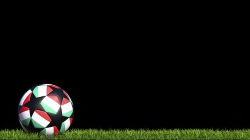 Bulgaria Soccer Ball On The Grass