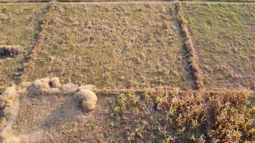 Aerial view of fields and agricultural parcels. Agricultural landscape: