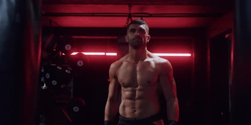 Boxer in a Gym