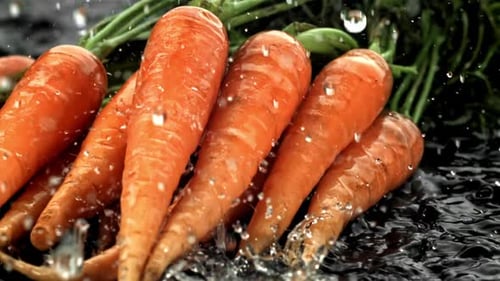 Super Slow Motion Fresh Carrots Filmed on a Highspeed Camera at 1000 Fps