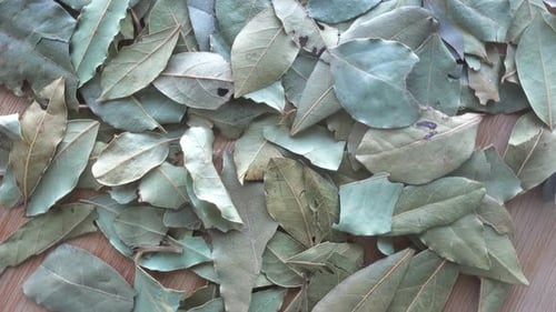 Pile of Dried Bay Leaves on Wooden Surface