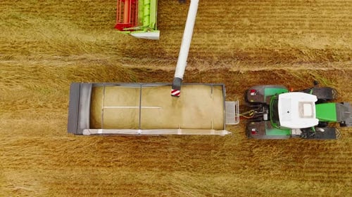 Combine Harvester Unloading Wheat Grain Into Tractor Trailer in Field