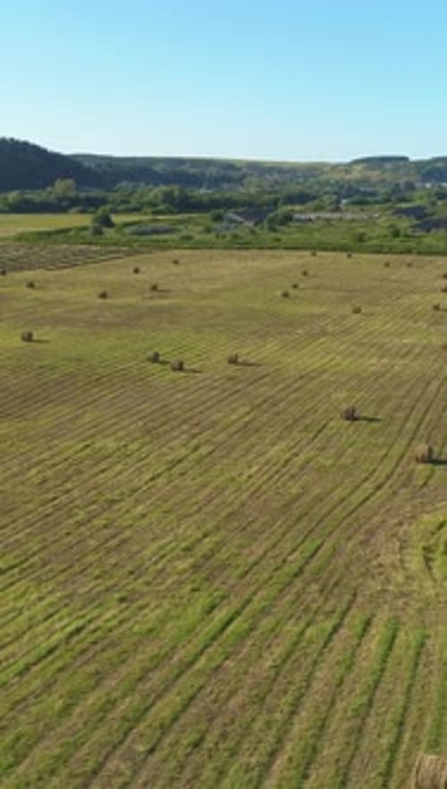 Haystacks in Green Field at Sunny Day Aerial View Vertical Video