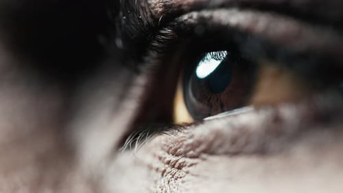 Eye Human with Beautiful Brown Iris Macro . Bright Beauty Black Male