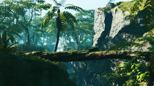 Tropical Jungles of South East Asia