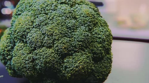 Green and Fresh Broccoli Lies on the Table