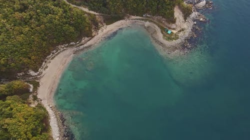 A Birdseye View of a Sea Surrounded By a Lush Jungle