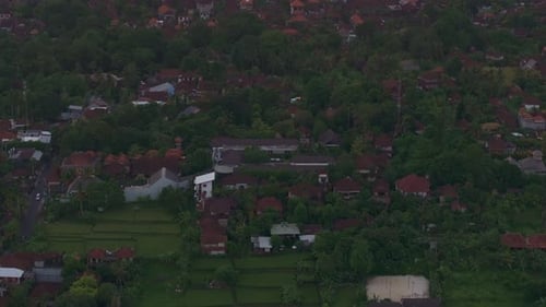 Aerial view of Ubud city with rice fields at sunset, Bali, Indonesia.