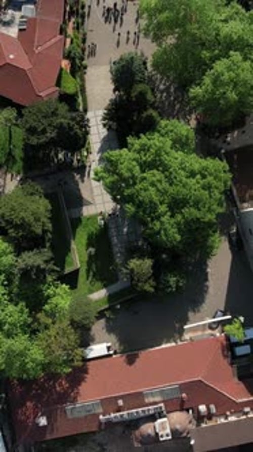 Drone View Of The Green Tomb