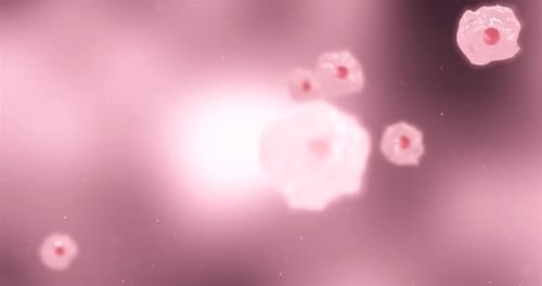 Microscopic Cells Dividing and Multiplying Animation