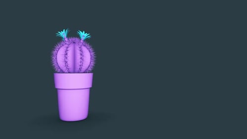 Cactus Purple On Gray