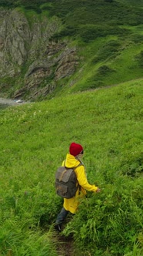 Exploring Nature's Beauty A Journey Through Verdant Hills and Cliffs Near the Ocean with a Bold