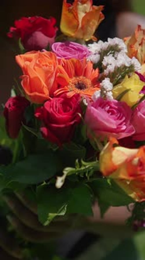 Colorful Flowers Bouquet Held Outdoors in Sunlight