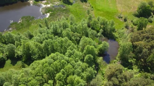 Aerial view of forest and pond