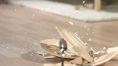 Slow Motion Plate Shatter on Floor