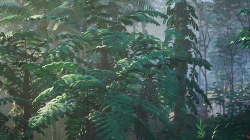 Lush Green Tropical Forest Leaves Foliage Nature Background