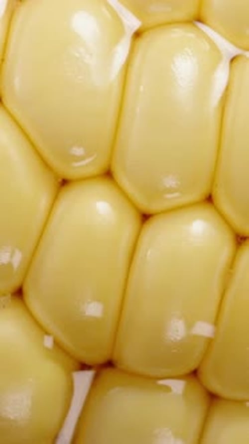 Vertical video. Corn kernels in a cob, macro background. Juice oozes in the cracks