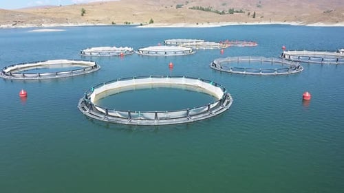 Aerial View Of Fish Ponds In The Lake 3