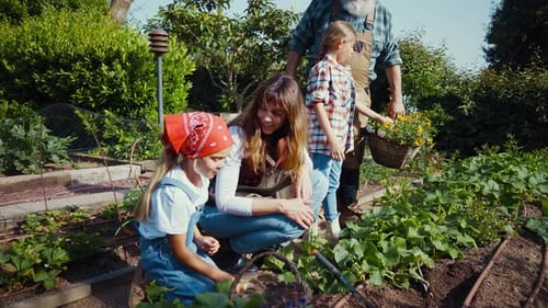 Family having fun in the vegetable garden