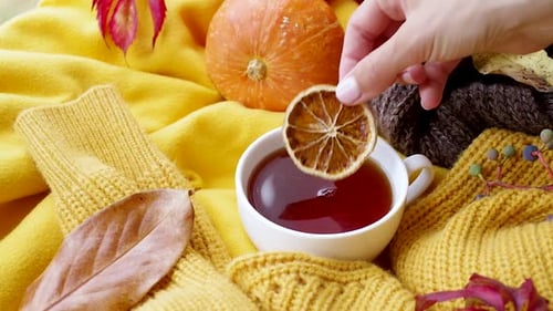 Cozy autumn composition, sweater weather. Pumpkins, hot tea and sweaters on window