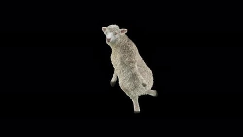 Animated Dancing Sheep Character Performs Funny Moves