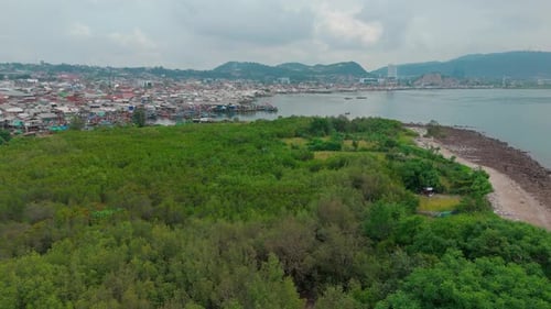 Aerial view of coastal mangroves and city, Indonesia.