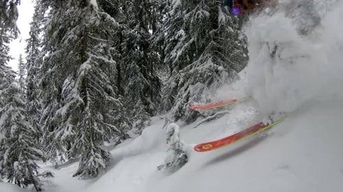 Follow cam faceshot of freeride skier with snow spray in storm Swiss Alps