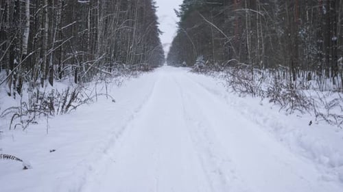 Winterwaldstraße im Schneehintergrund