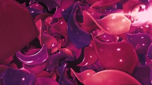 Colorful Glowing Particles Animation Loop