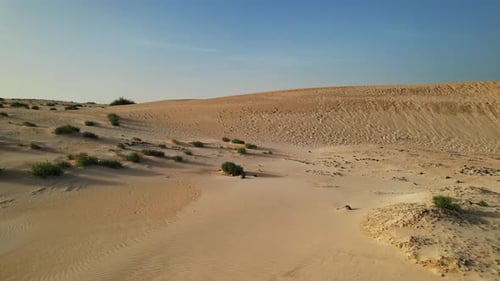 Aerial of famous scenic desert sand dunes along ocean coast at Fuerteventura
