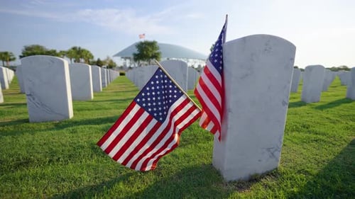 Flags Adorn Gravestones in Military Cemetery