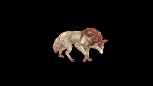 Brown Wolf Walk Head Down