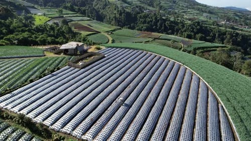 Indonesia Agriculture