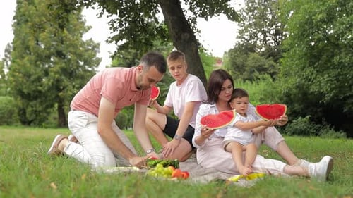 Happy Mother Father and Two Cute Sons Eating Fruits on Picnic at Summer Park