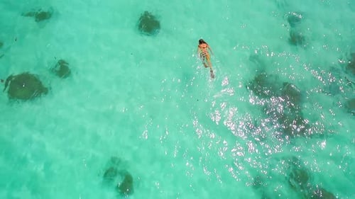 Aerial Drone Quadcopter of Young Woman Snorkeling,exploring Tropical Reef and Swimming
