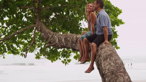Couple Sitting Together On Tree At Beach, Costa Rica. Shot On Red Epic For High Quality 4k, Uhd, ...