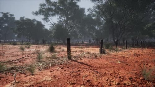 Scenic Red Soil Landscape with Wire Fence and Trees