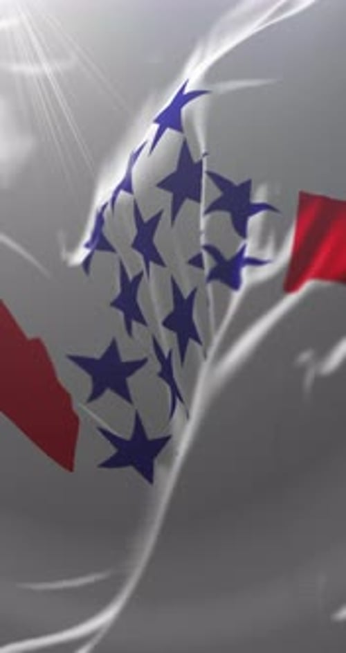 Drapeau du département central