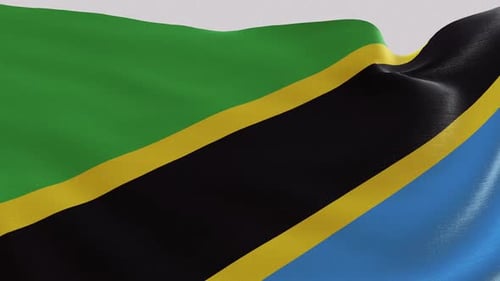 Tanzania National Flag Waving in Realistic Fabric Loop