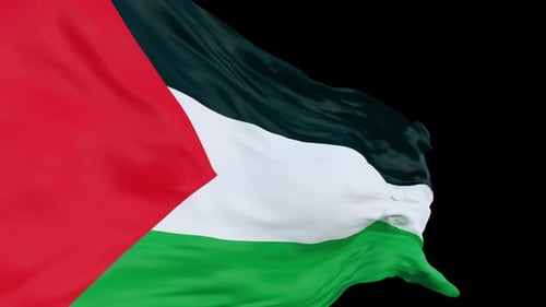 Realistic Waving Flag Animation Motion Background Element